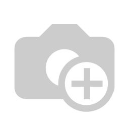 Teamfoto 2